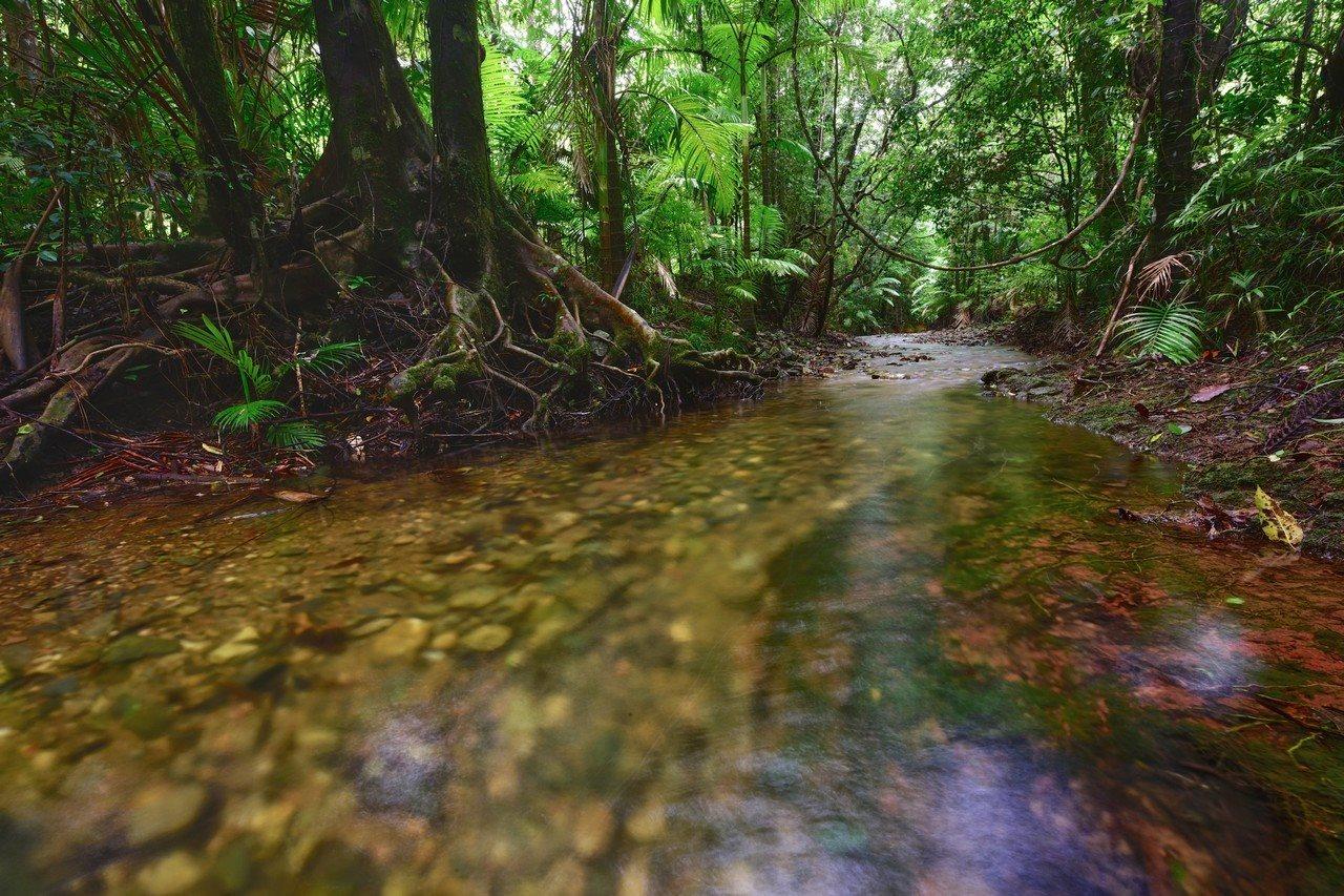 Daintree Peaks Eco Stays Exterior photo
